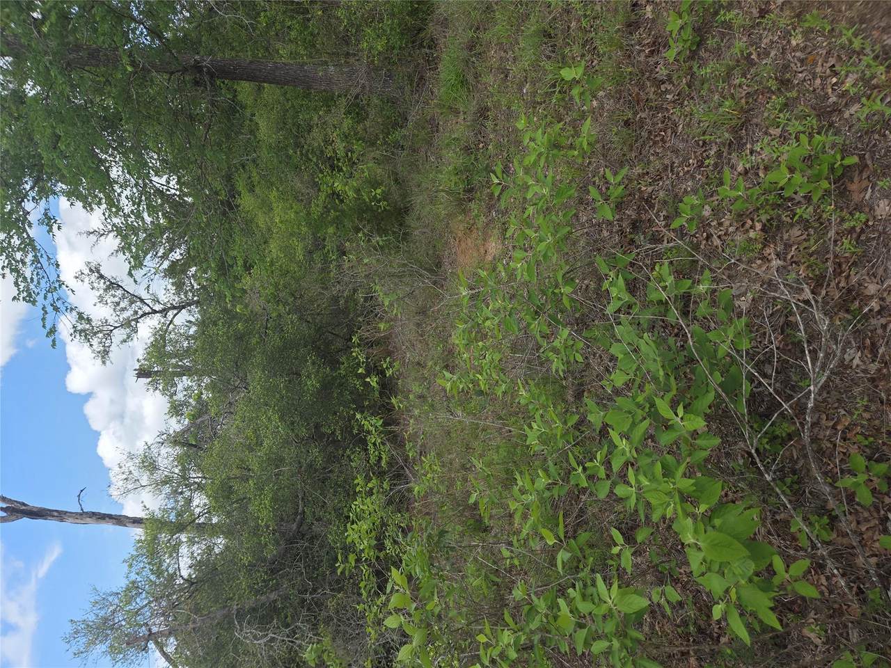 https://bt-photos.global.ssl.fastly.net/austin/1280_boomver_2_7678427-2.jpg