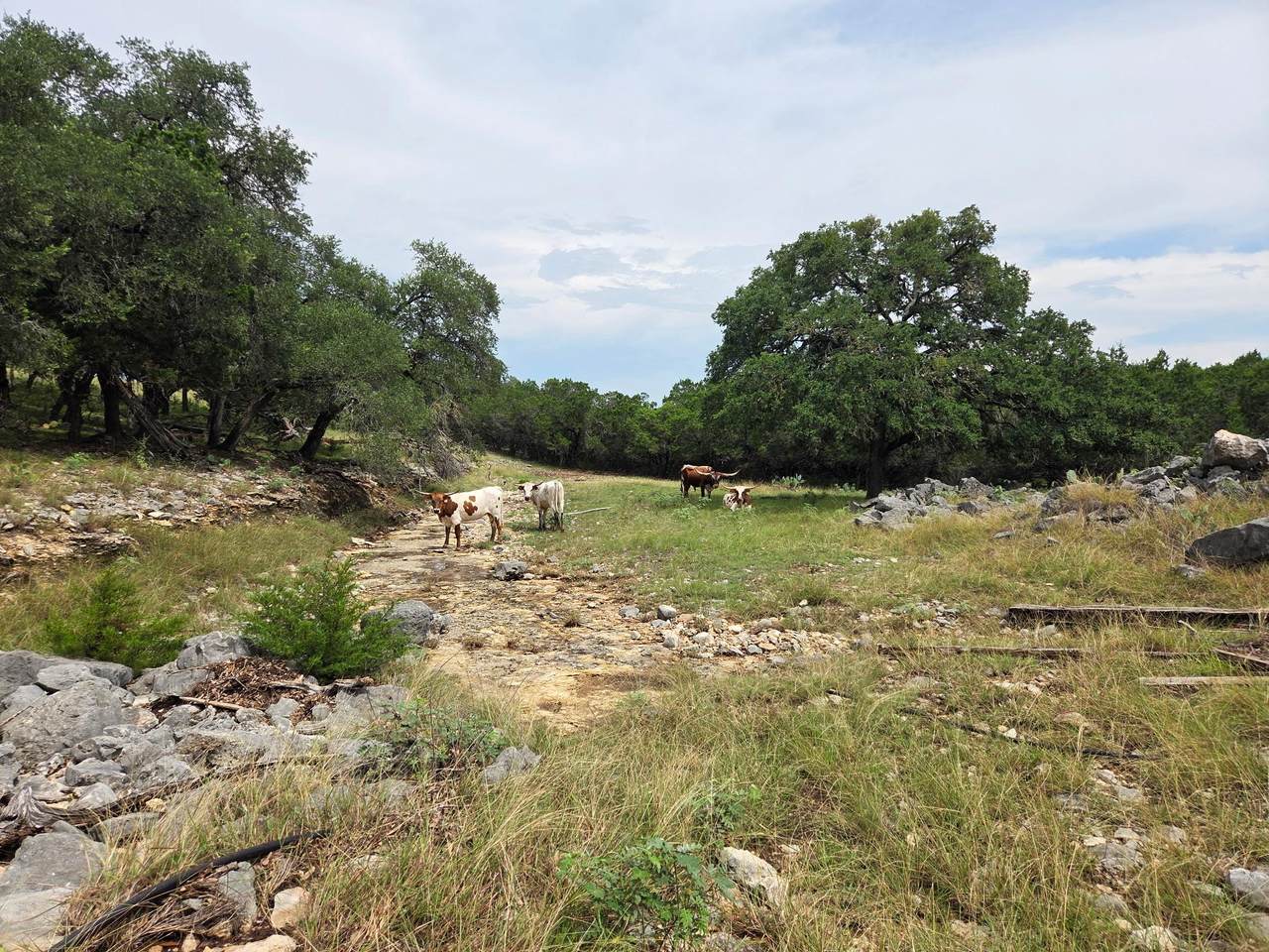 https://bt-photos.global.ssl.fastly.net/austin/1280_boomver_2_8105517-2.jpg