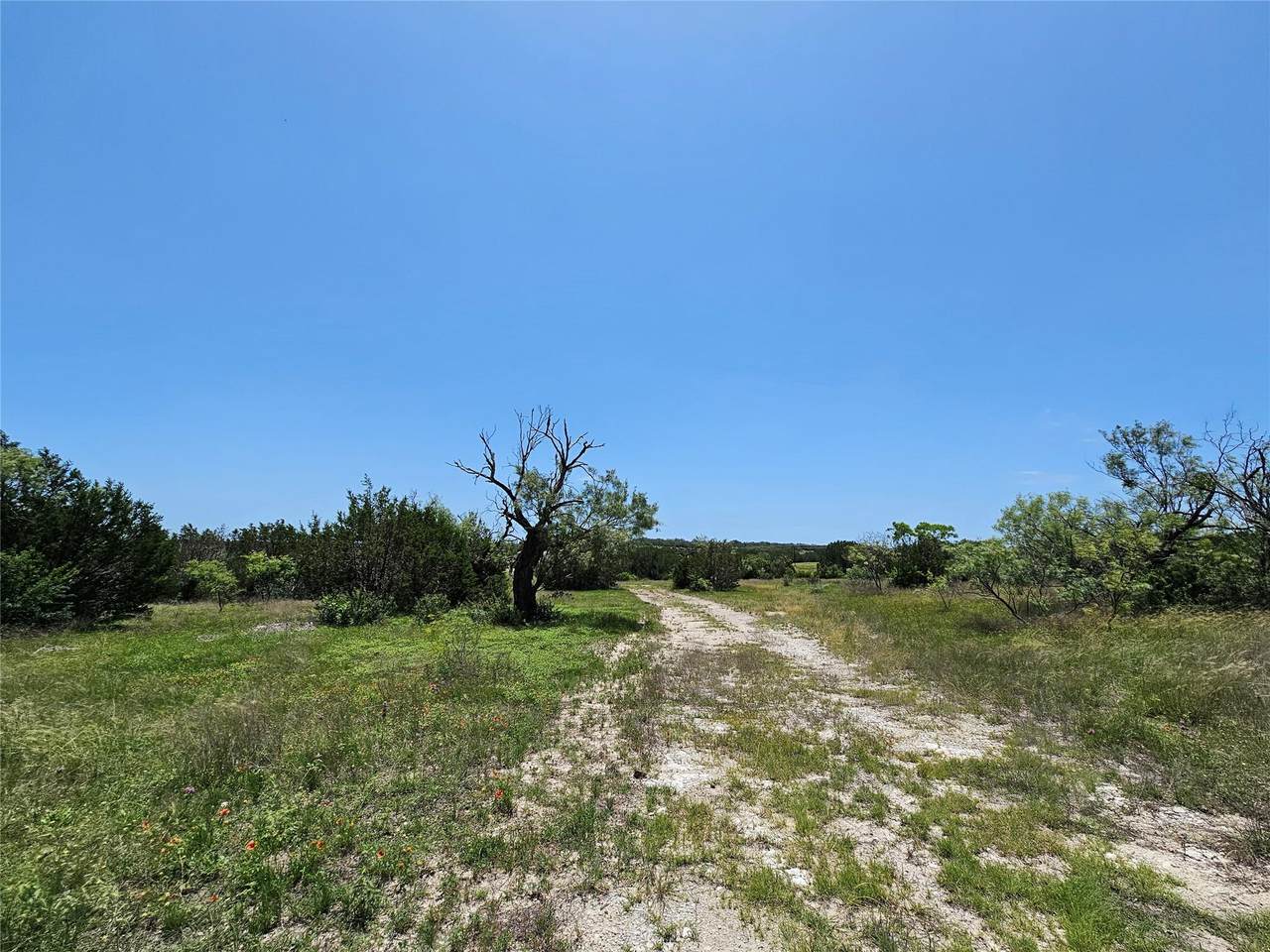 https://bt-photos.global.ssl.fastly.net/austin/1280_boomver_2_8638241-2.jpg