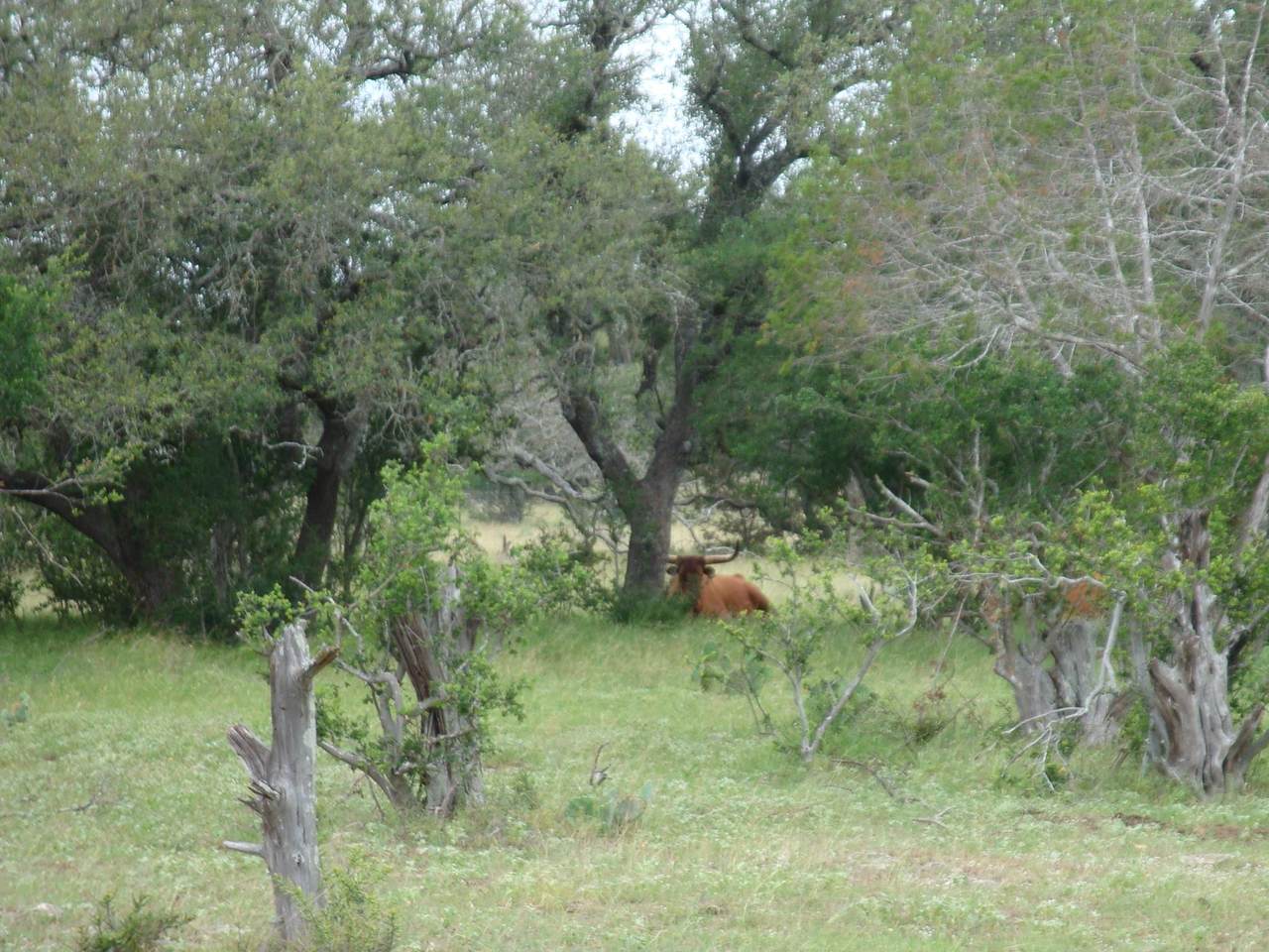 https://bt-photos.global.ssl.fastly.net/austin/1280_boomver_2_9269693-2.jpg