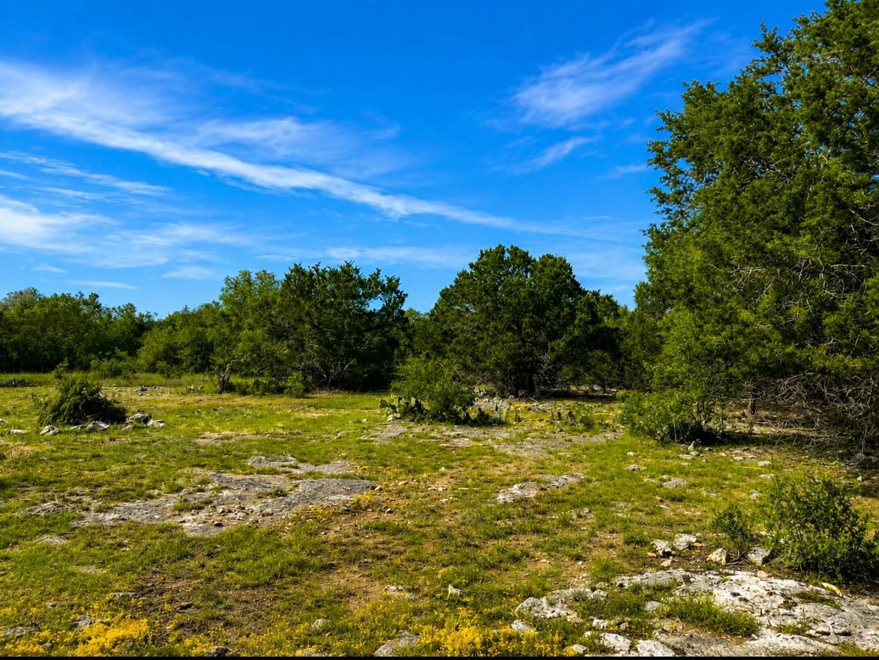 https://bt-photos.global.ssl.fastly.net/austin/1280_boomver_3_9945579-2.jpg