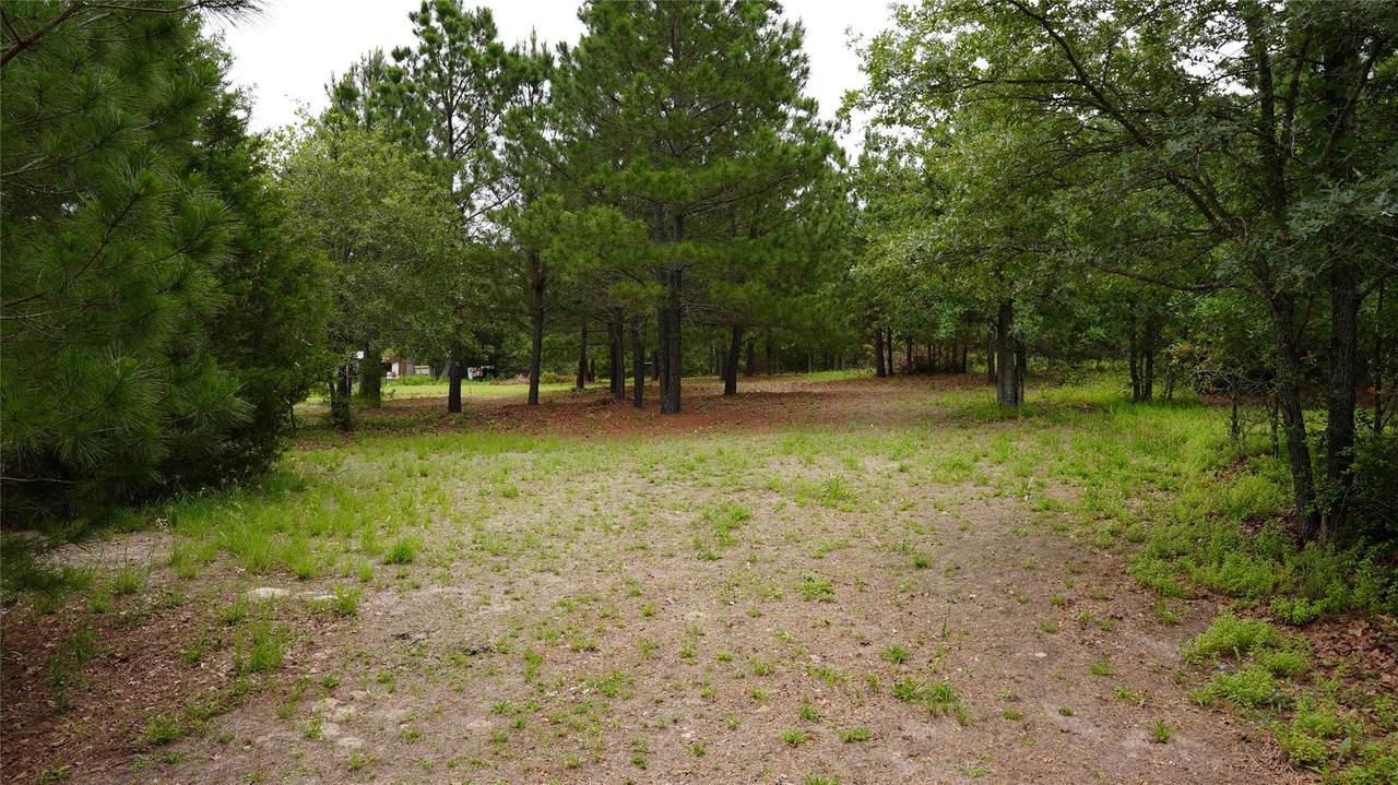 TBD Buckhorn Dr - Photo 1