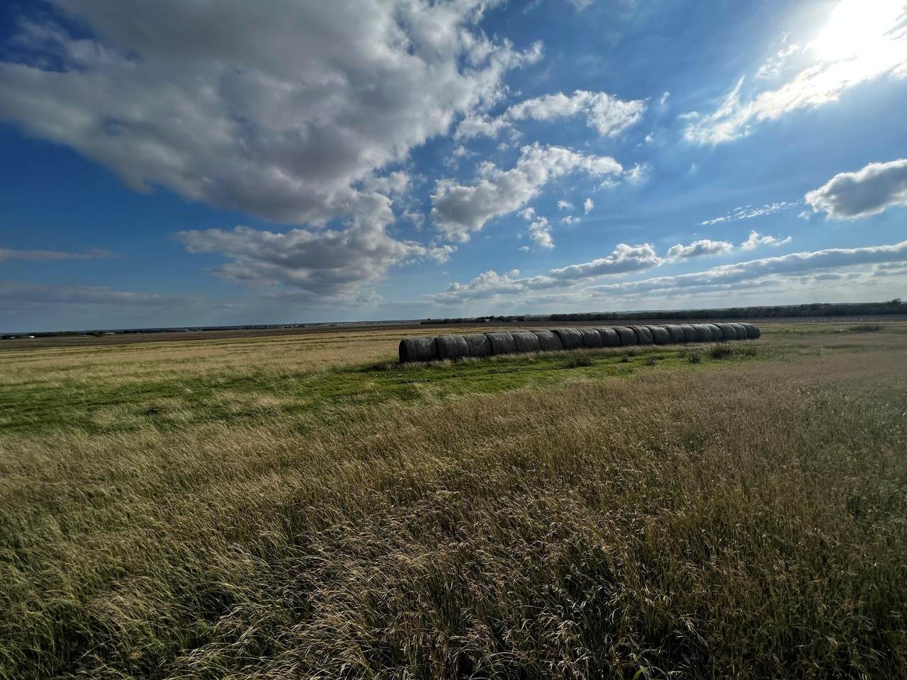 1438 County Road 438 - Photo 1