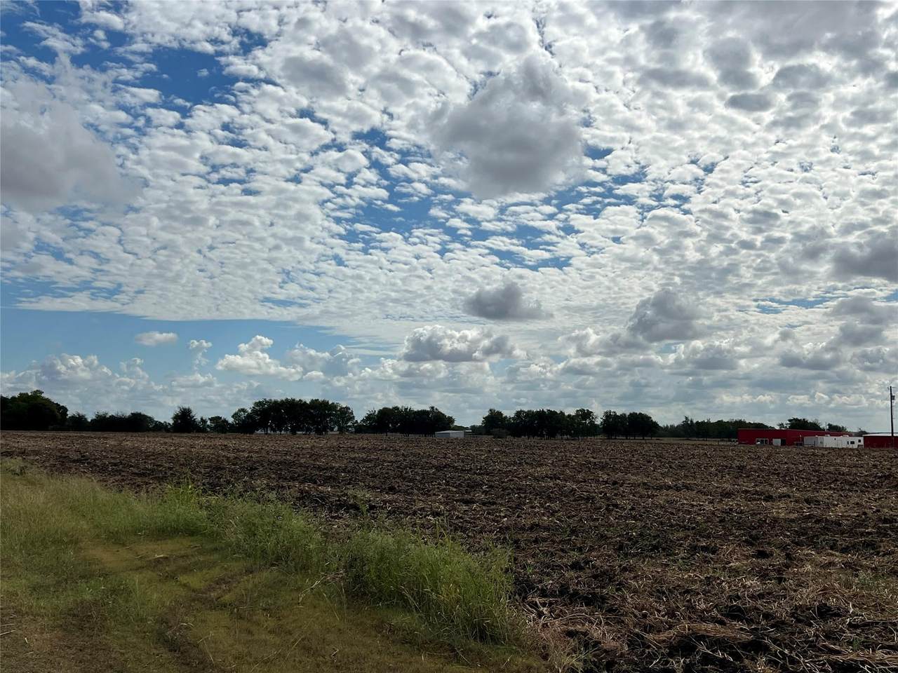 1295 County Road 432 Rd - Photo 1