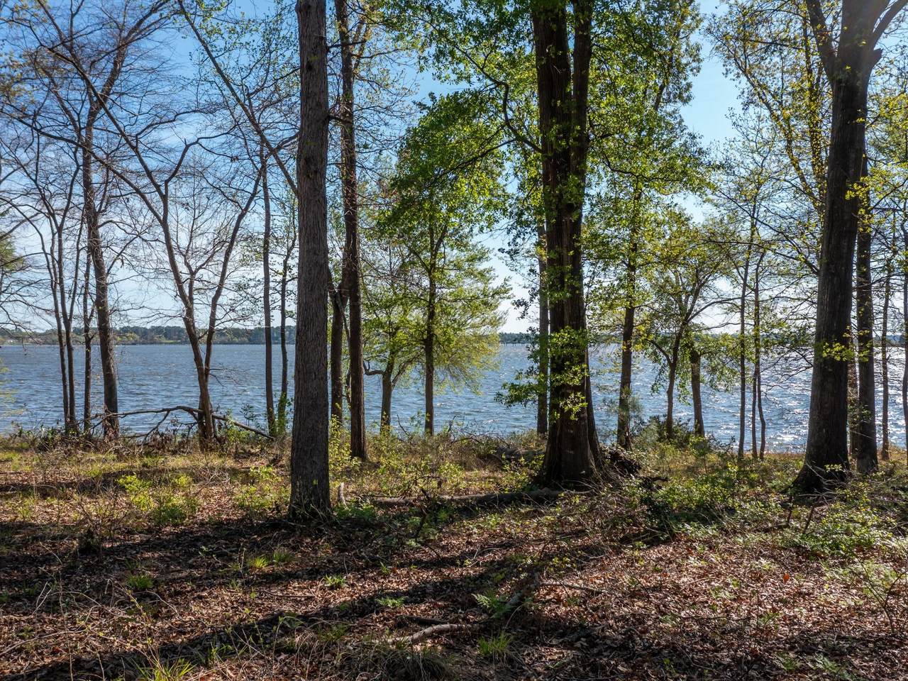 3108 Shadow Pine Dr - Photo 1