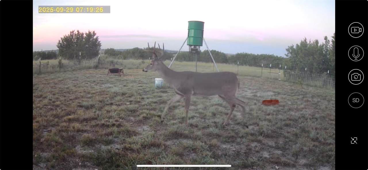 542 Co Rd 2275 Rd - Photo 1