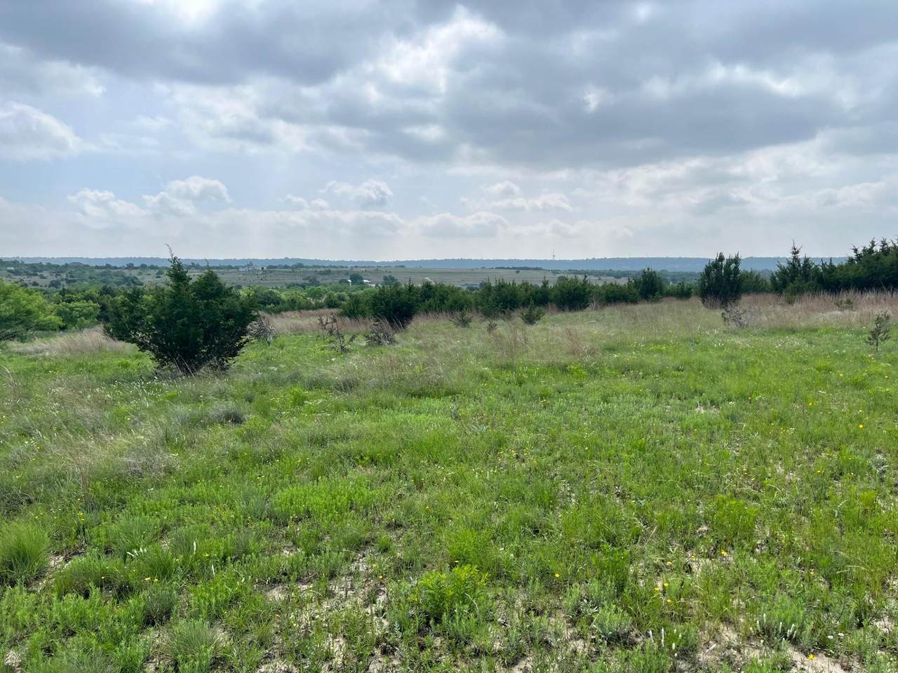 4847 Cr 3300-Tract 1, 11 & 8 - Photo 1