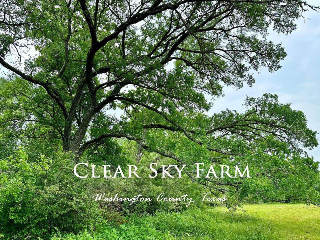 00 Quarry Rd - Photo 1