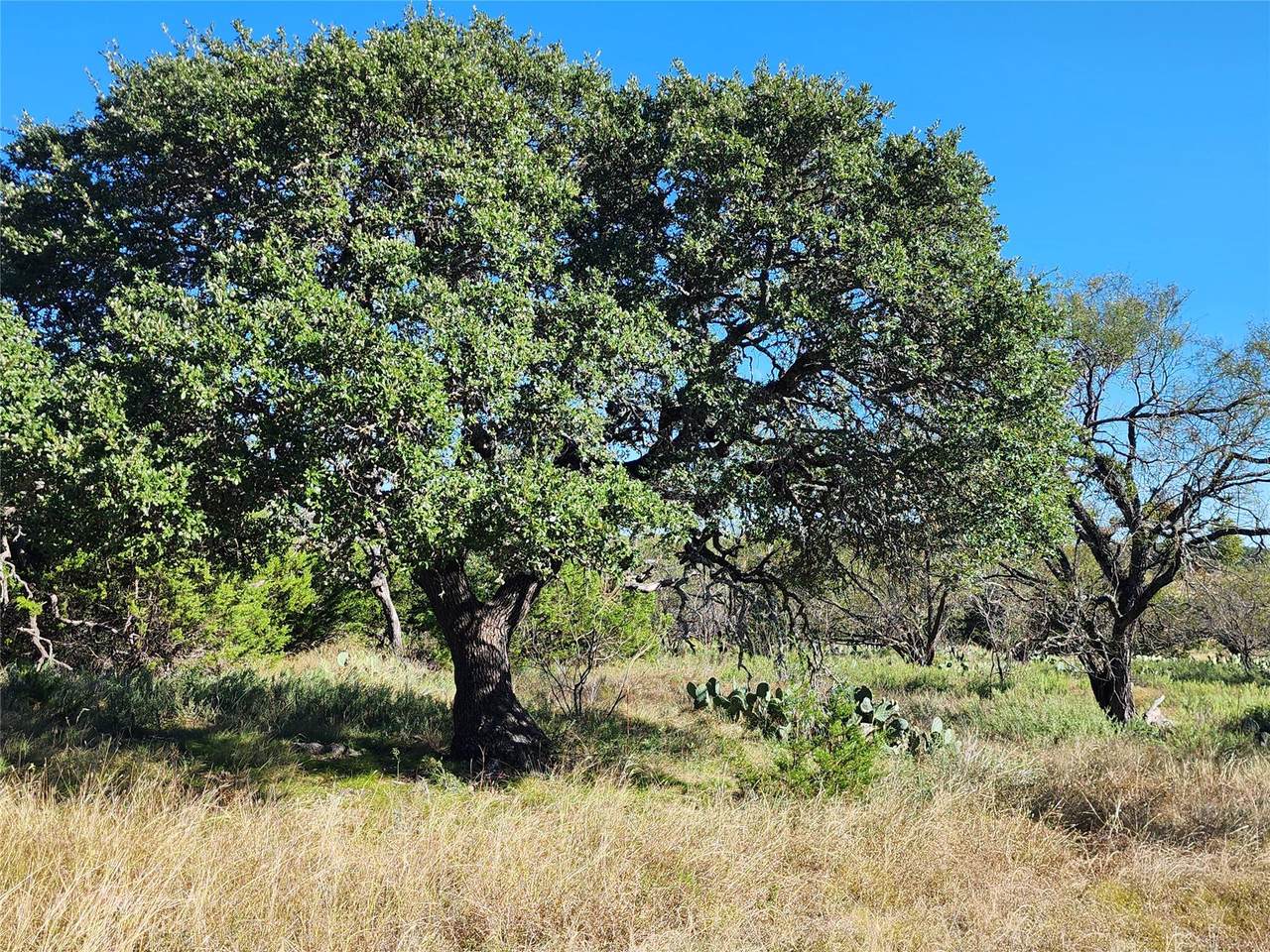 https://bt-photos.global.ssl.fastly.net/austin/1280_boomver_3_6335073-2.jpg