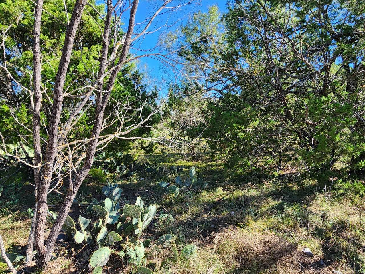 https://bt-photos.global.ssl.fastly.net/austin/1280_boomver_3_6335073-2.jpg