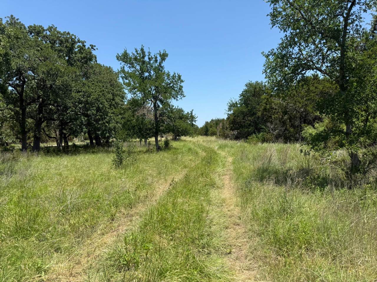 TBD Lot 1 Indian Lake Rd - Photo 1