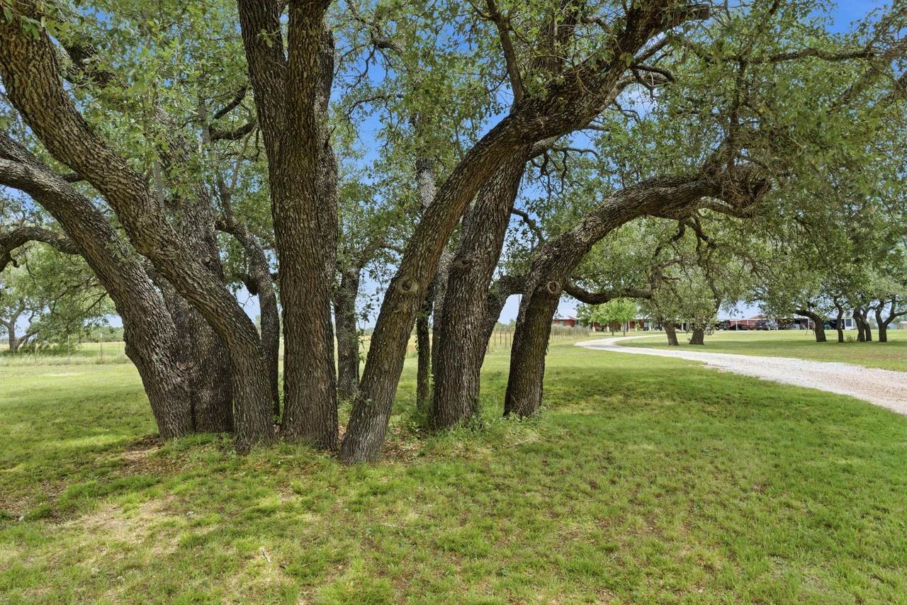 https://bt-photos.global.ssl.fastly.net/austin/1280_boomver_2_6562596-2.jpg