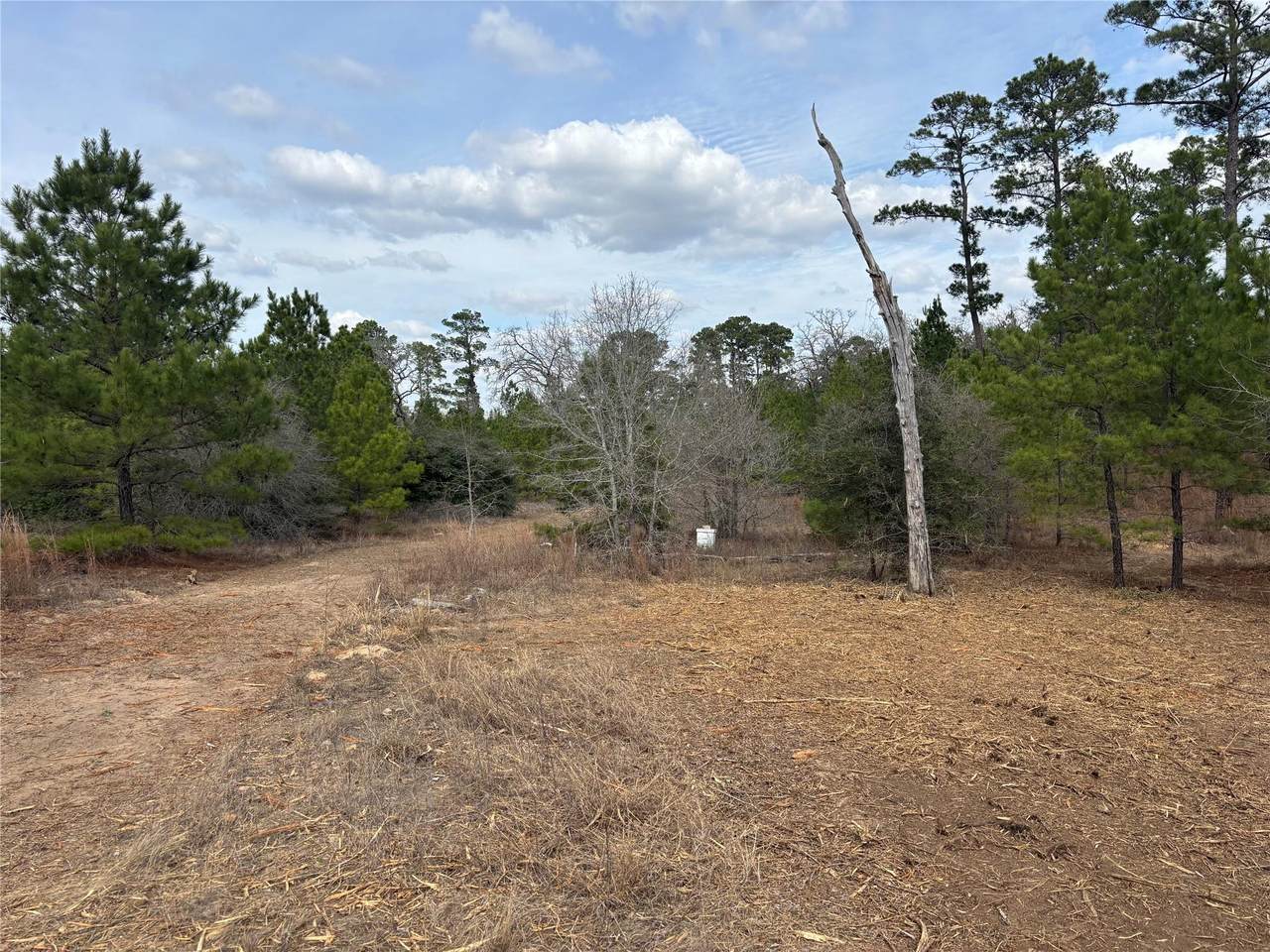 https://bt-photos.global.ssl.fastly.net/austin/1280_boomver_3_8261051-2.jpg