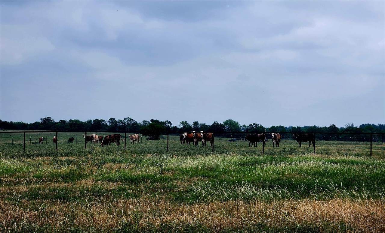 TBD County Road 446 - Photo 1