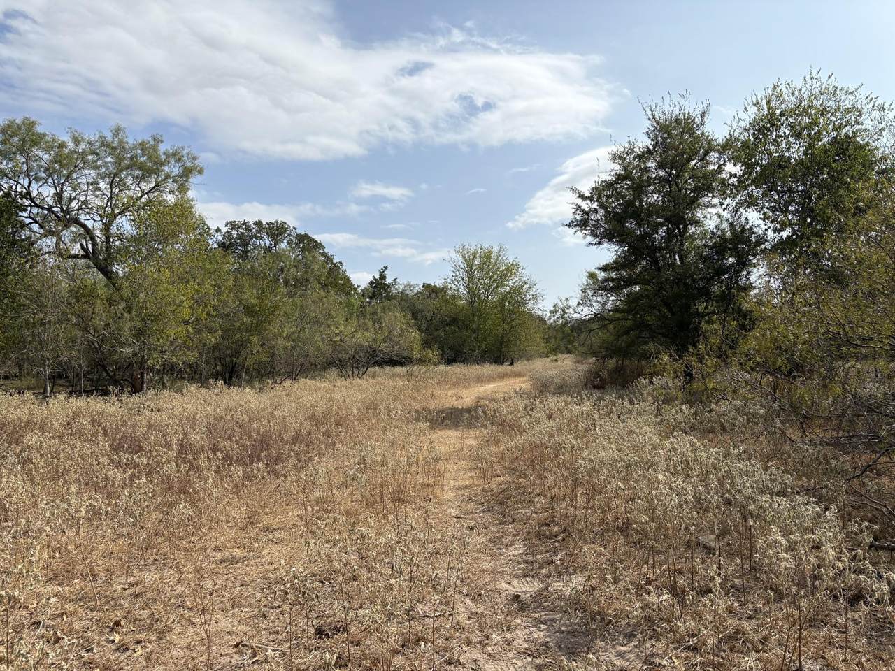 TBD 207.5 +/- ACRES Anchor Ranch Loop - Photo 1