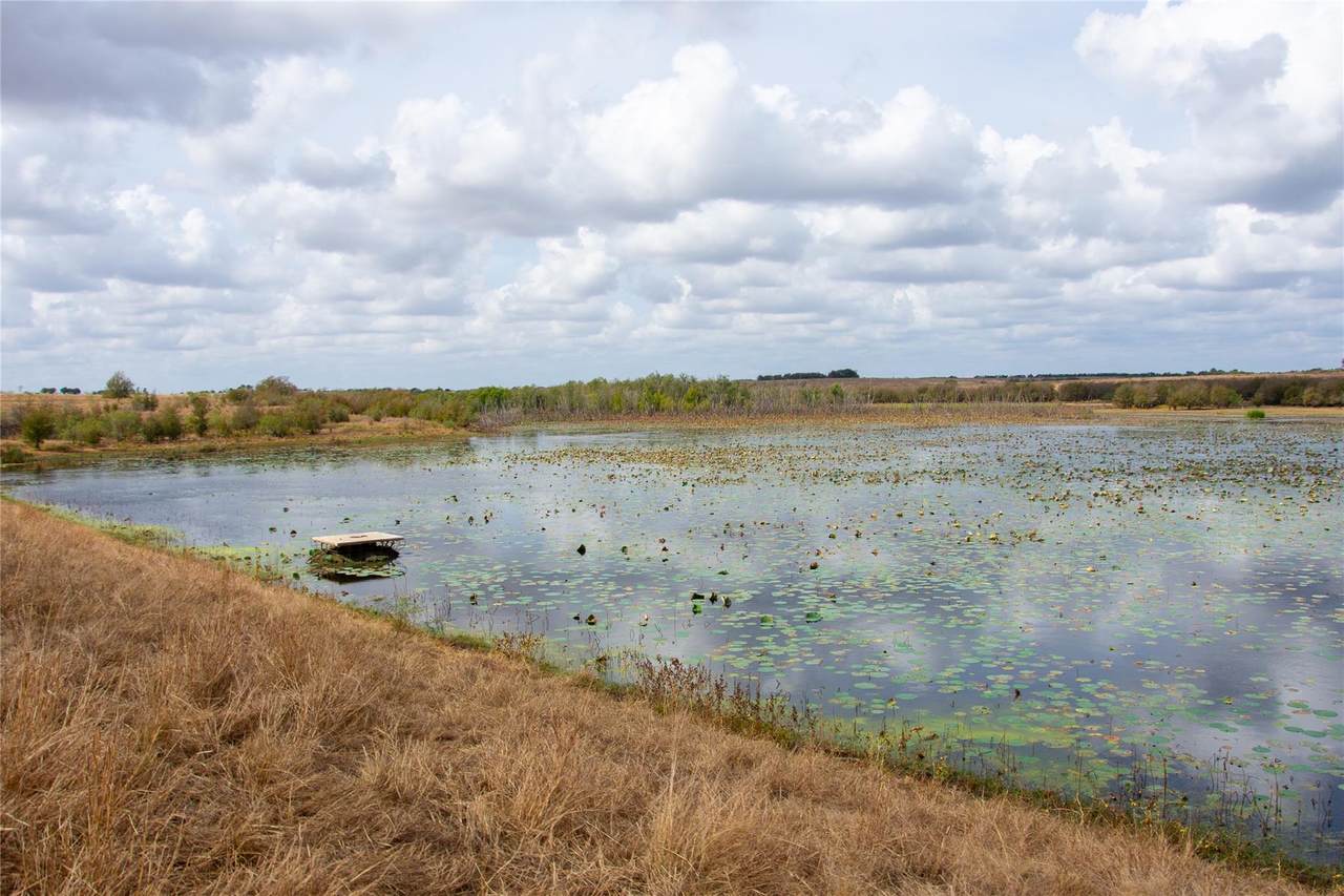 2689 County Road 419 Rd - Photo 1