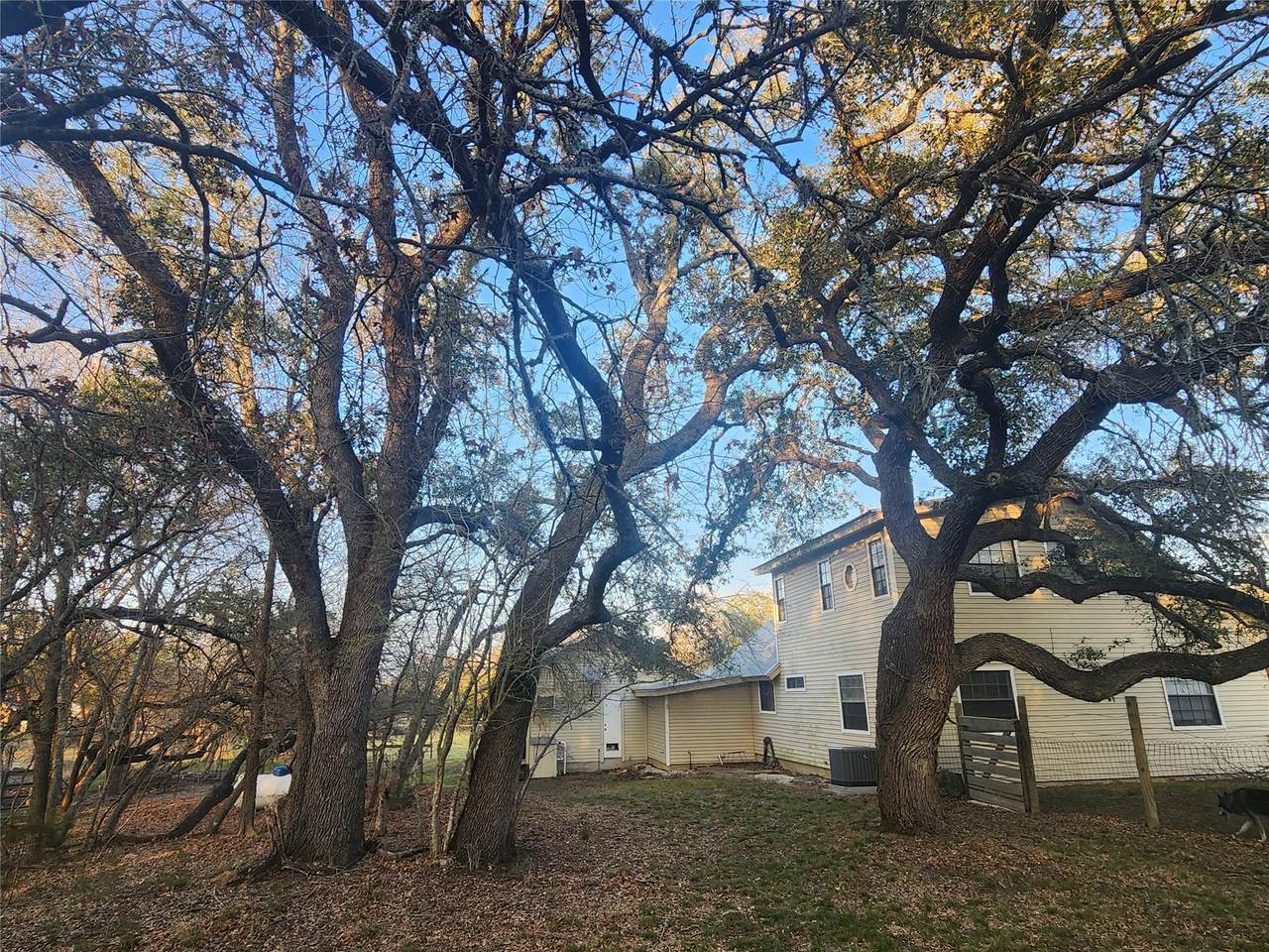 https://bt-photos.global.ssl.fastly.net/austin/1280_boomver_3_3777363-2.jpg