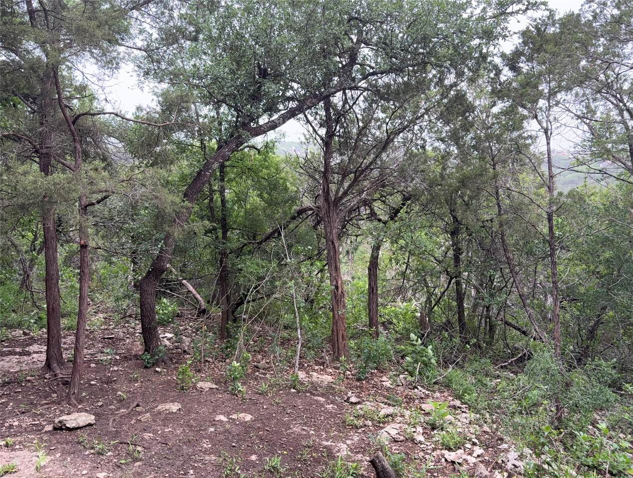 https://bt-photos.global.ssl.fastly.net/austin/1280_boomver_4_6379005-2.jpg