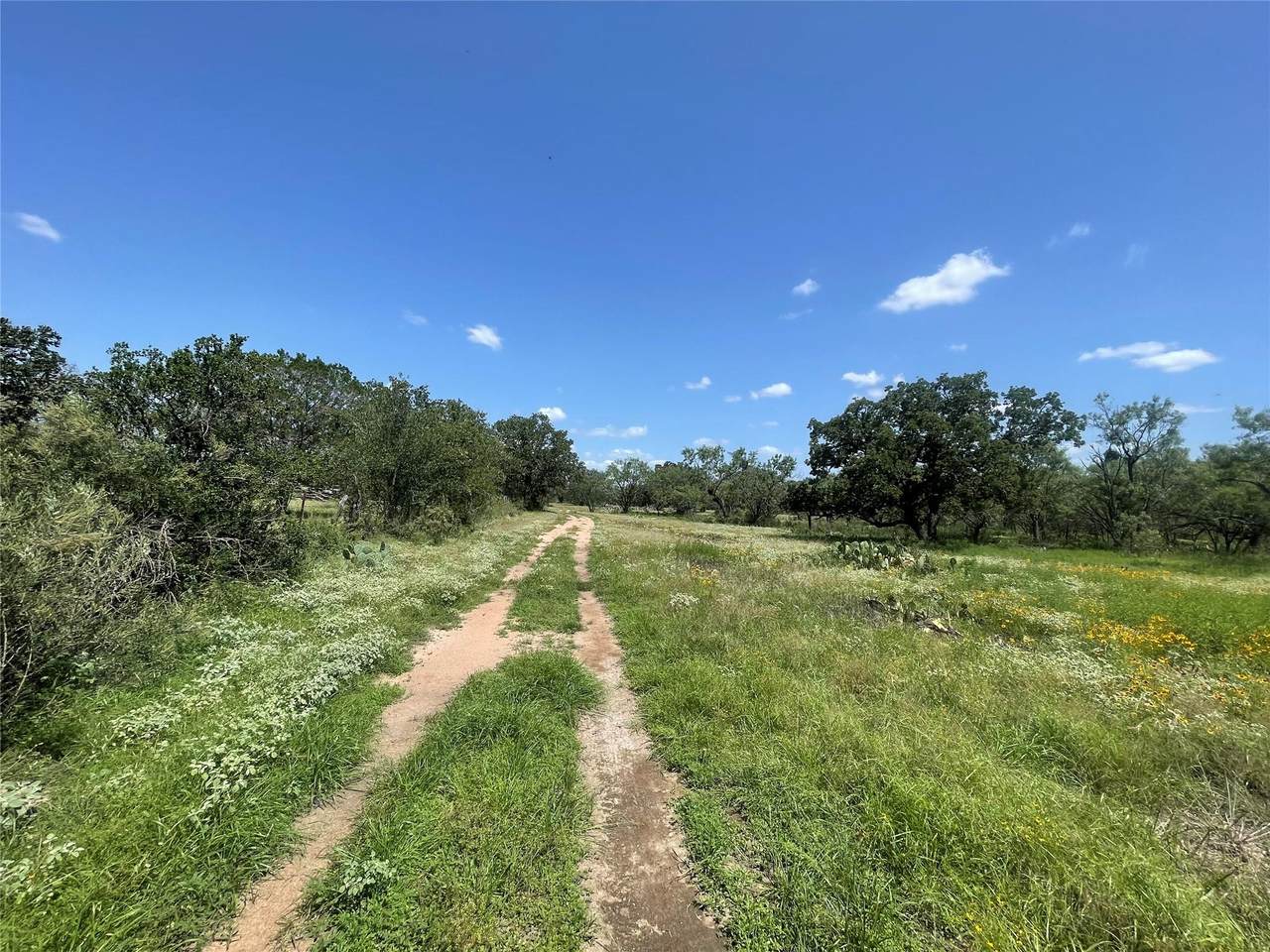 TBD Fm 1980 Tract 1 - Photo 1