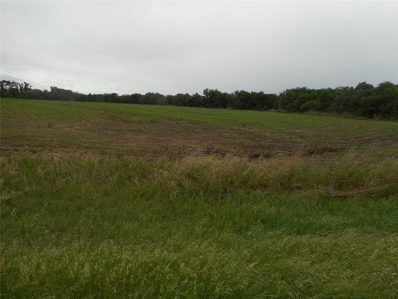 TBD Fm 619 Rd - Photo 1