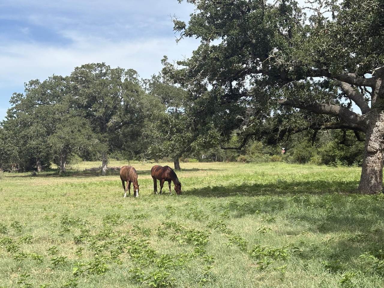 1430 Antioch Rd - Photo 1