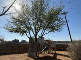1607 Rio Bravo Loop - Photo 25