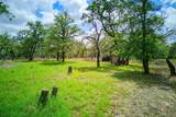 501 Turkey Tree Trl - Photo 33