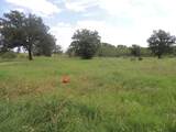 267 Linam Ln - Photo 20