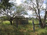 267 Linam Ln - Photo 5