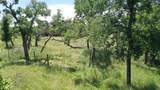 3215 County Road 305 - Photo 9