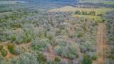 1597 County Road 314 - Photo 35