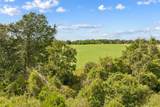 TBD (27.42 Acres) Fm 3403 - Photo 7