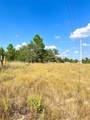 TBD Ponderosa Loop - Photo 12