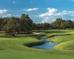 Lot 17 La Serena Loop - Photo 12
