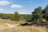 2021 Stagecoach Ranch Rd - Photo 13