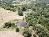 187 Cedar Creek Dr - Photo 36