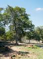 640 County Road 475 Rd - Photo 11