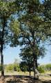 640 County Road 475 Rd - Photo 15