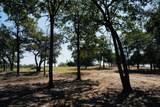 640 County Road 475 Rd - Photo 3