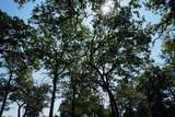 640 County Road 475 Rd - Photo 4