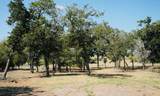 640 County Road 475 Rd - Photo 7