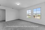 229 Tessaria Dr - Photo 16