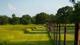 8058 Milam County Road 455 - Photo 29