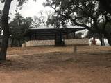 3208 Morgan Ln - Photo 6
