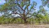 000 Oak Valley Ranch - Photo 2
