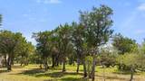 11842 Rim Rock Trl - Photo 40