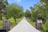 11842 Rim Rock Trl - Photo 6