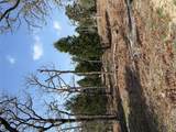TBD N County Line Rd - Photo 5