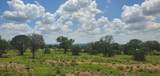 Tract 6 Lehne Loop - Photo 23