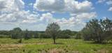 Tract 6 Lehne Loop - Photo 24